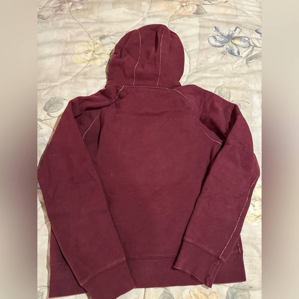 Aritzia hoodie